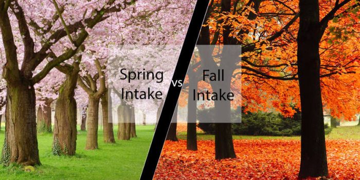 Intakes to Study in Ireland - Fall vs Spring